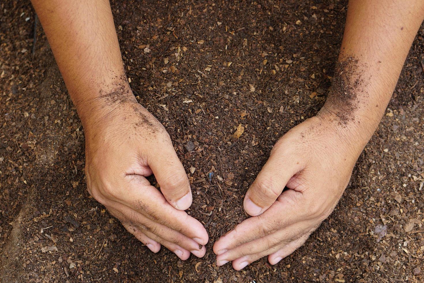 Farmers mix the soil to grow crops. provide the minerals that plants need It is growing fast and strong. photo