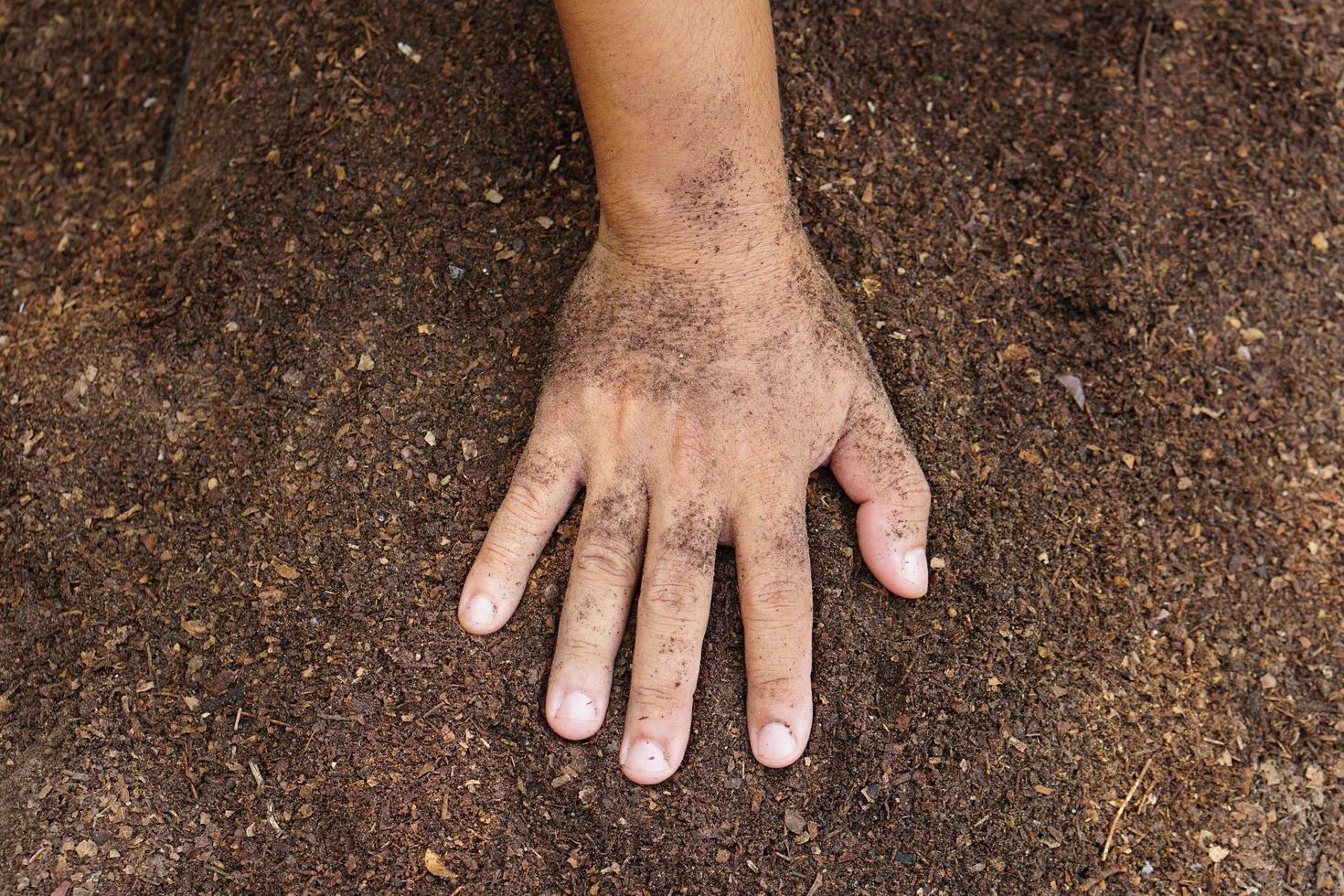 Farmers mix the soil to grow crops. provide the minerals that plants need It is growing fast and strong. photo