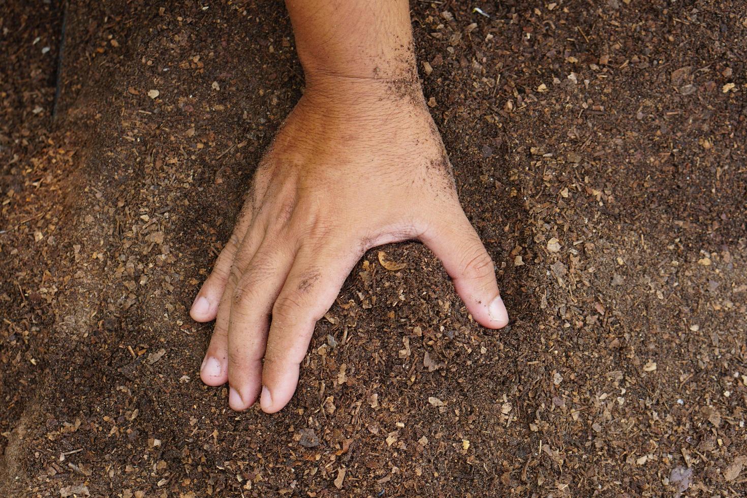 los agricultores mezclan el suelo para cultivar. proporcionar los minerales que las plantas necesitan está creciendo rápido y fuerte. foto