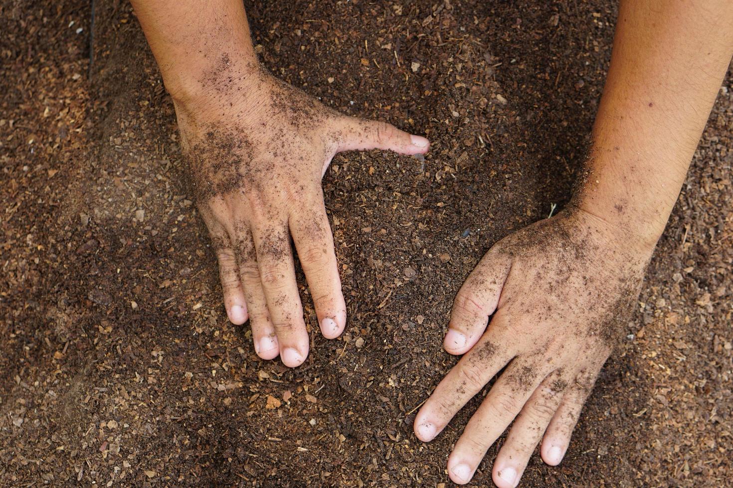 los agricultores mezclan el suelo para cultivar. proporcionar los minerales que las plantas necesitan está creciendo rápido y fuerte. foto