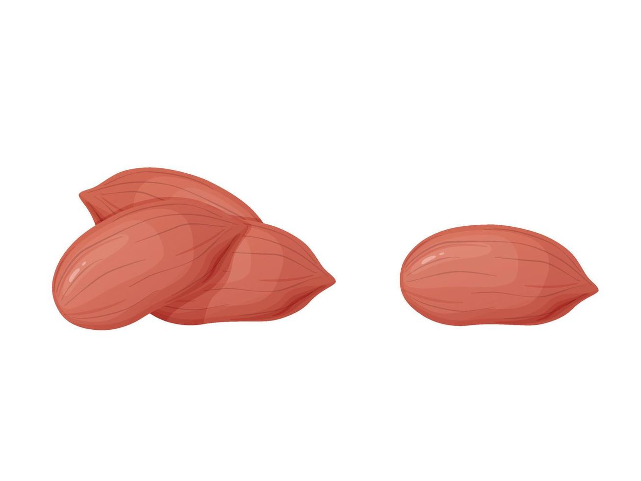 Peanut. Nuts in shell and peeled in cartoon style. Healthy vegetarian snack. vector