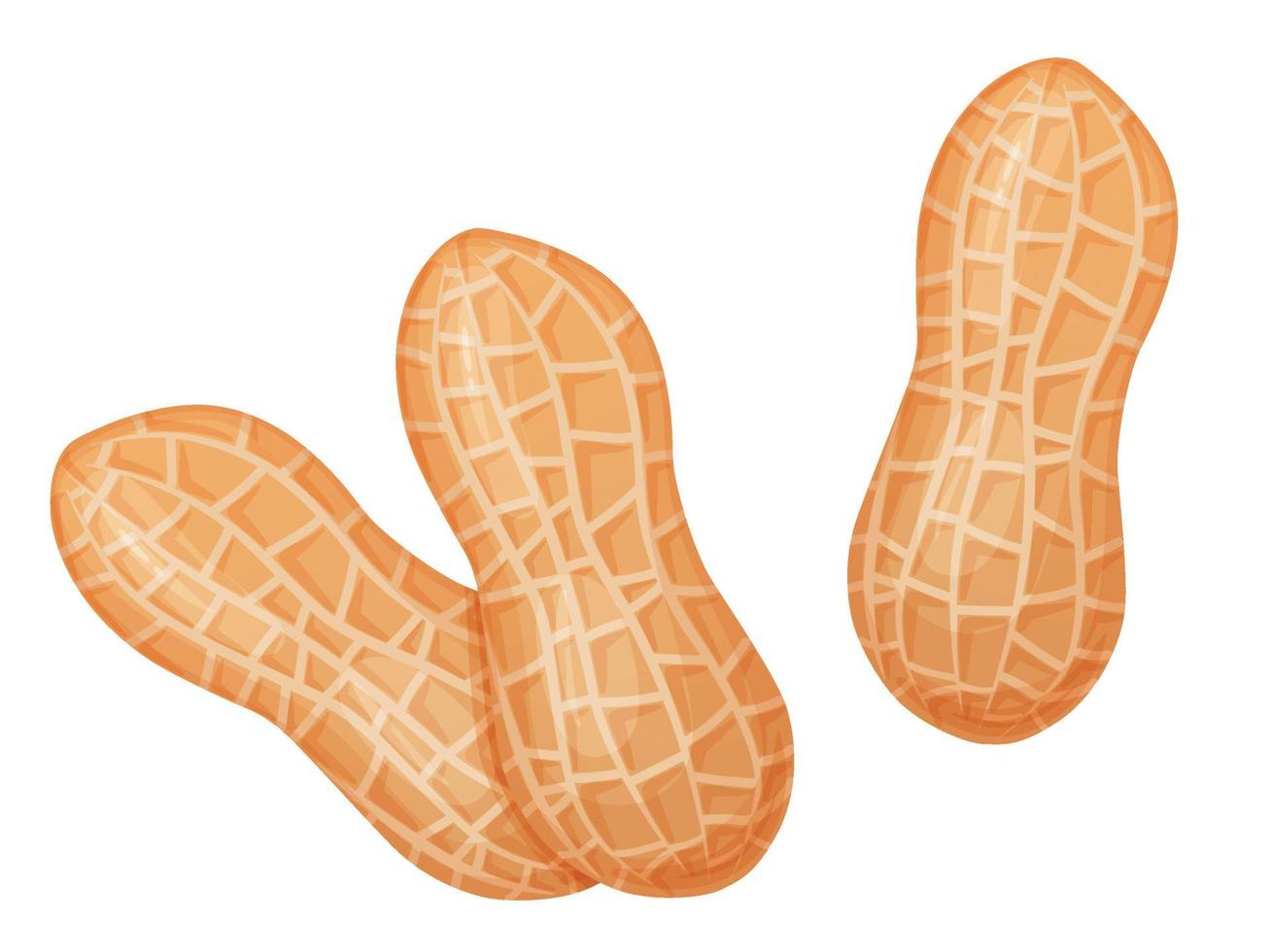 Peanut. Nuts in shell and peeled in cartoon style. Healthy vegetarian snack. vector