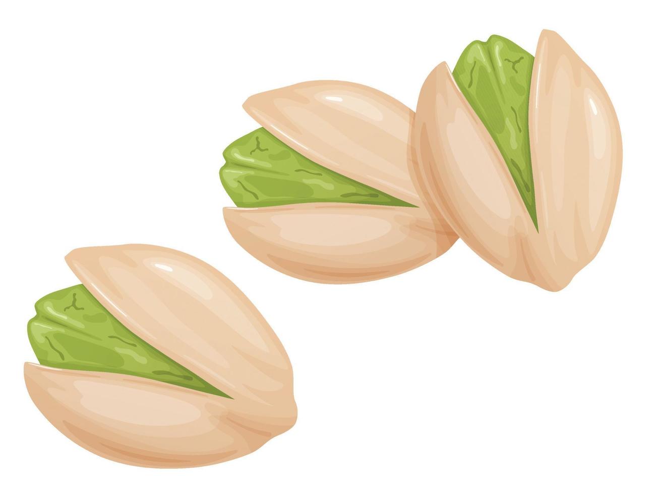 Pistachios. Nuts in shell and peeled in cartoon style. vector