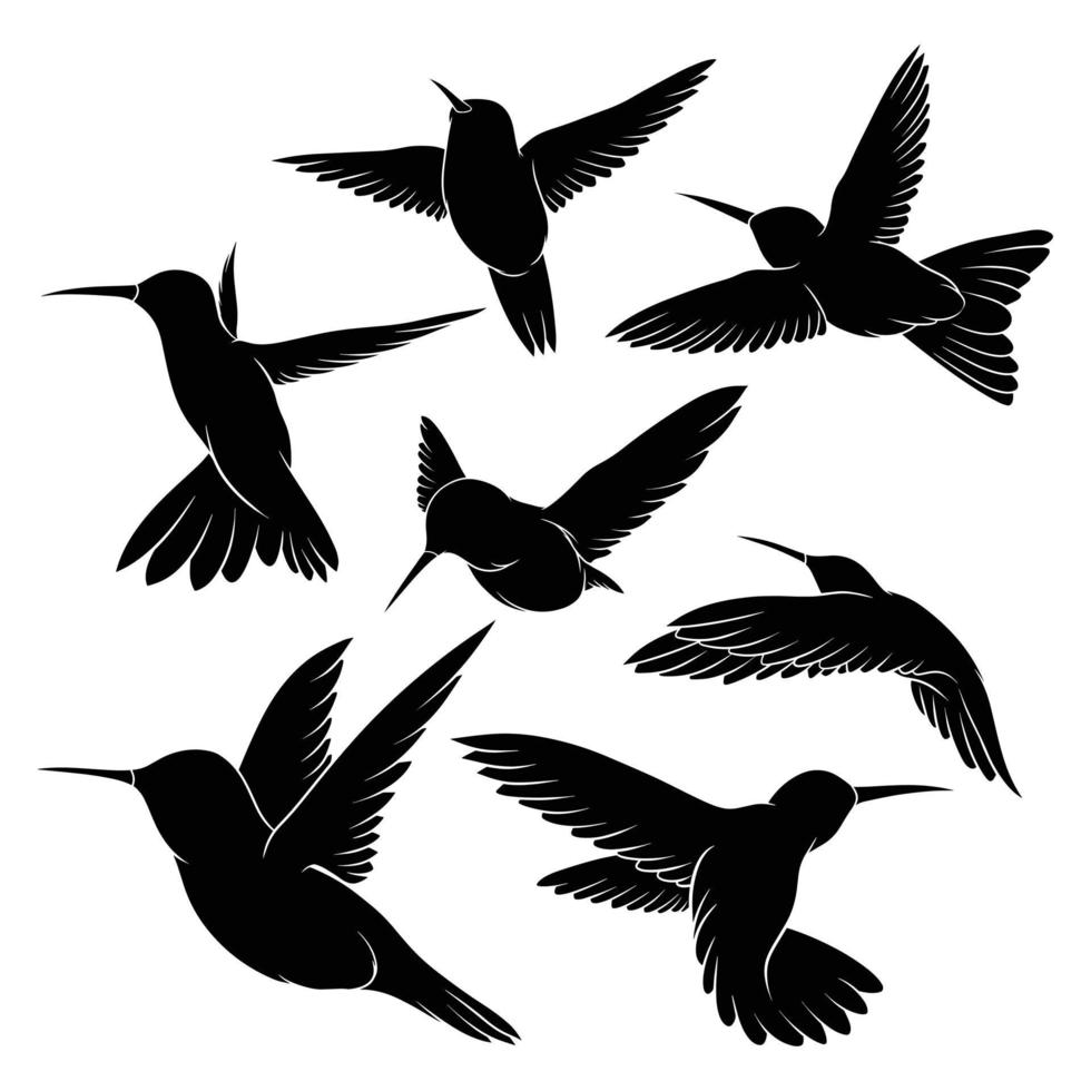 hand drawn silhouette of hummingbird vector