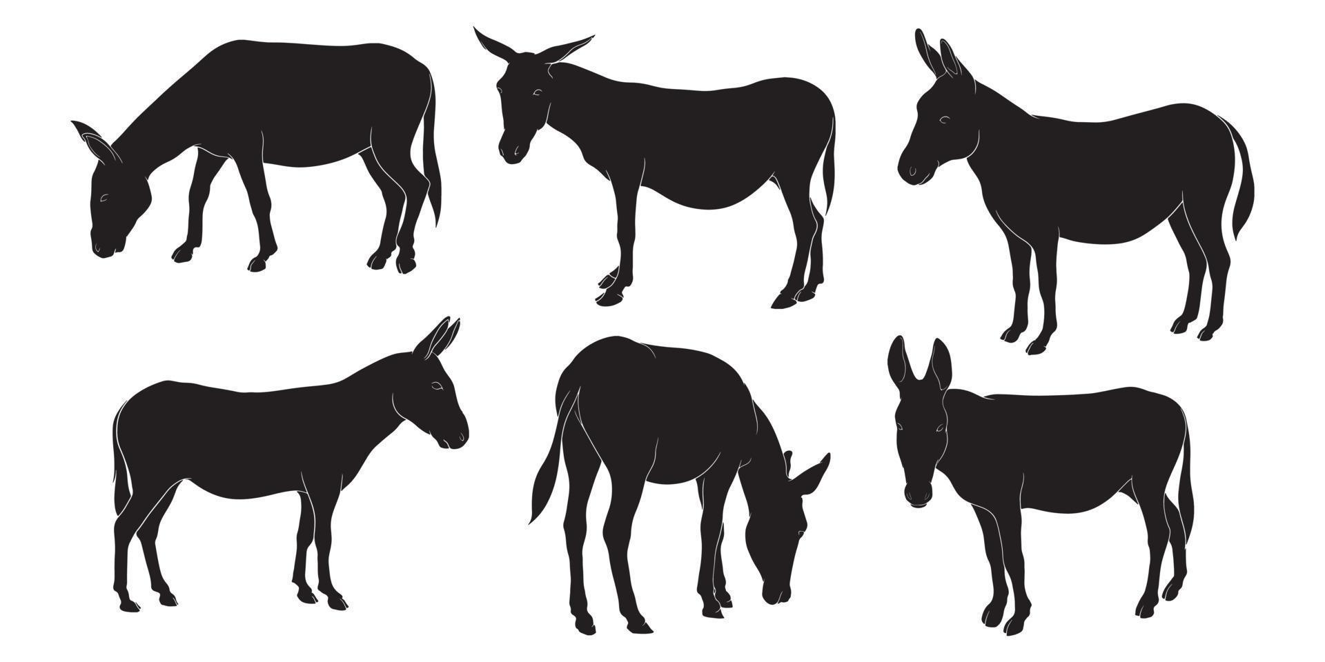 hand drawn silhouette of donkey vector