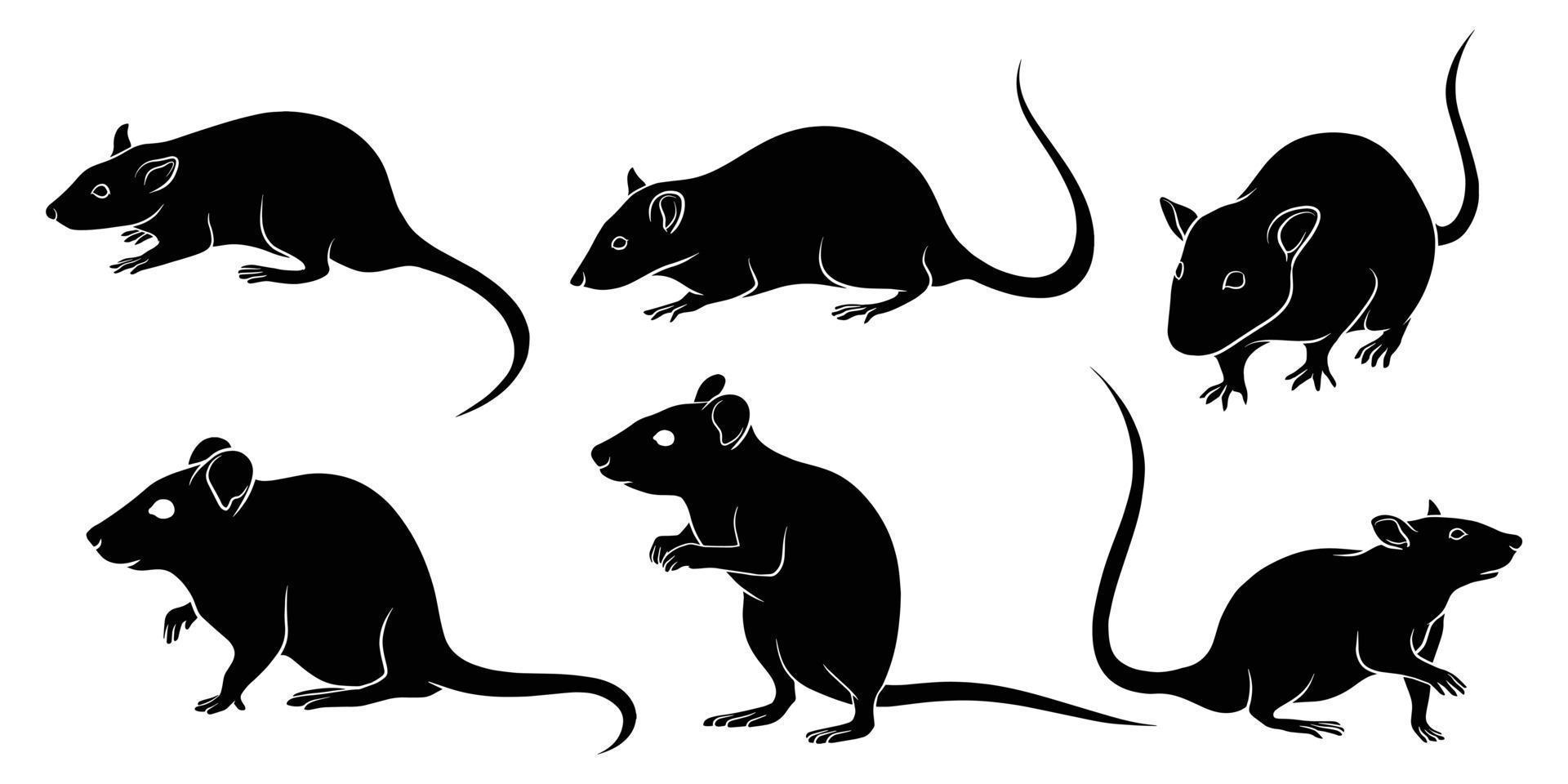 hand drawn silhouette of rat vector