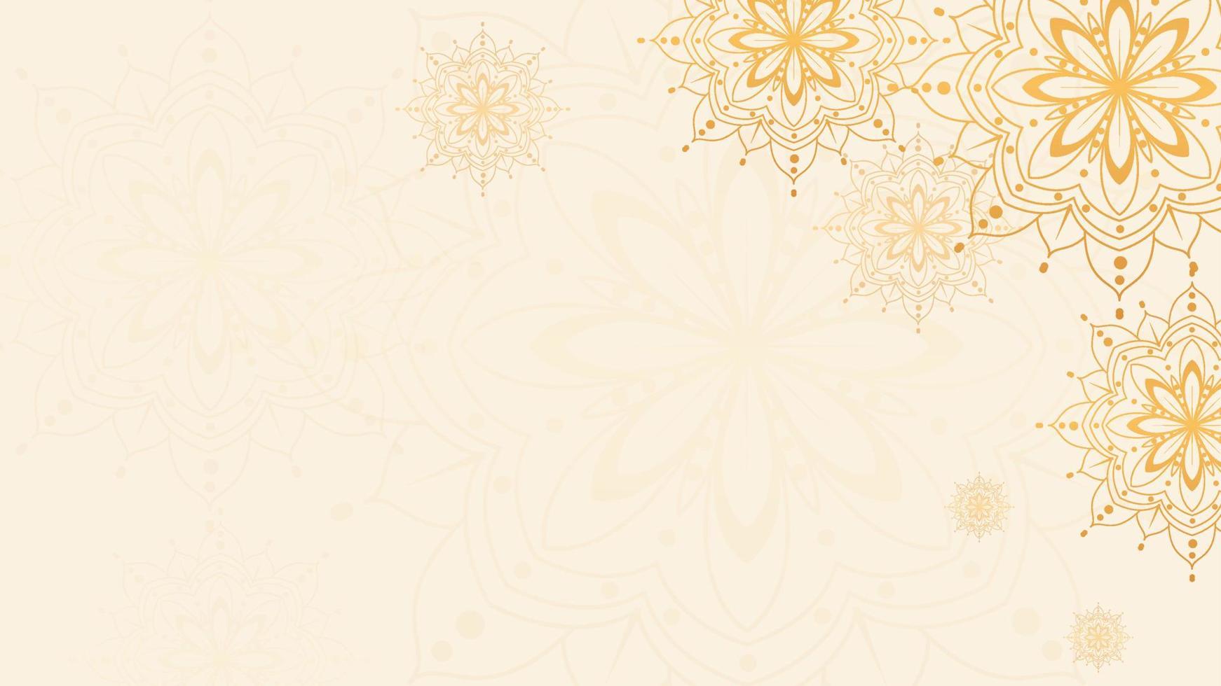 elegant background with mandala vector