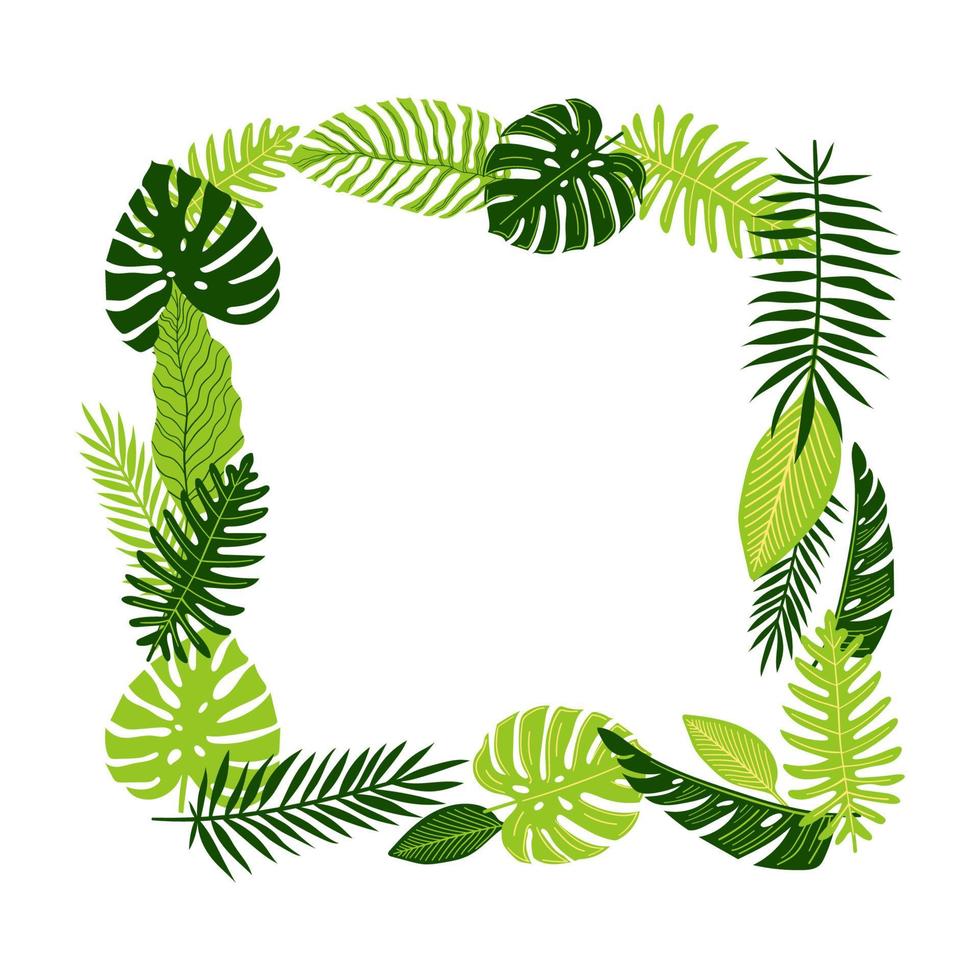 Vector tropical jungle palm, fern and monstera leaves. Square exotic frame with place for text. Green summer illustration