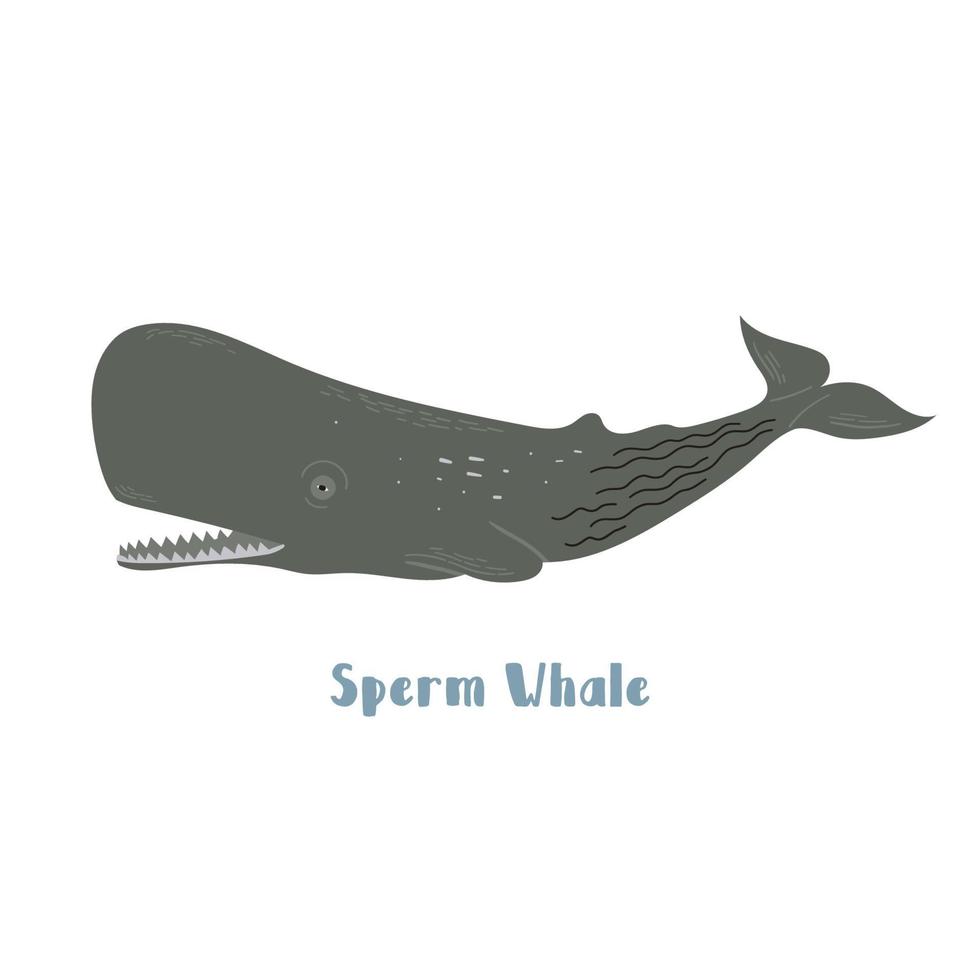 Vector sperm whale. Cartoon illustration on white background for sticker, design