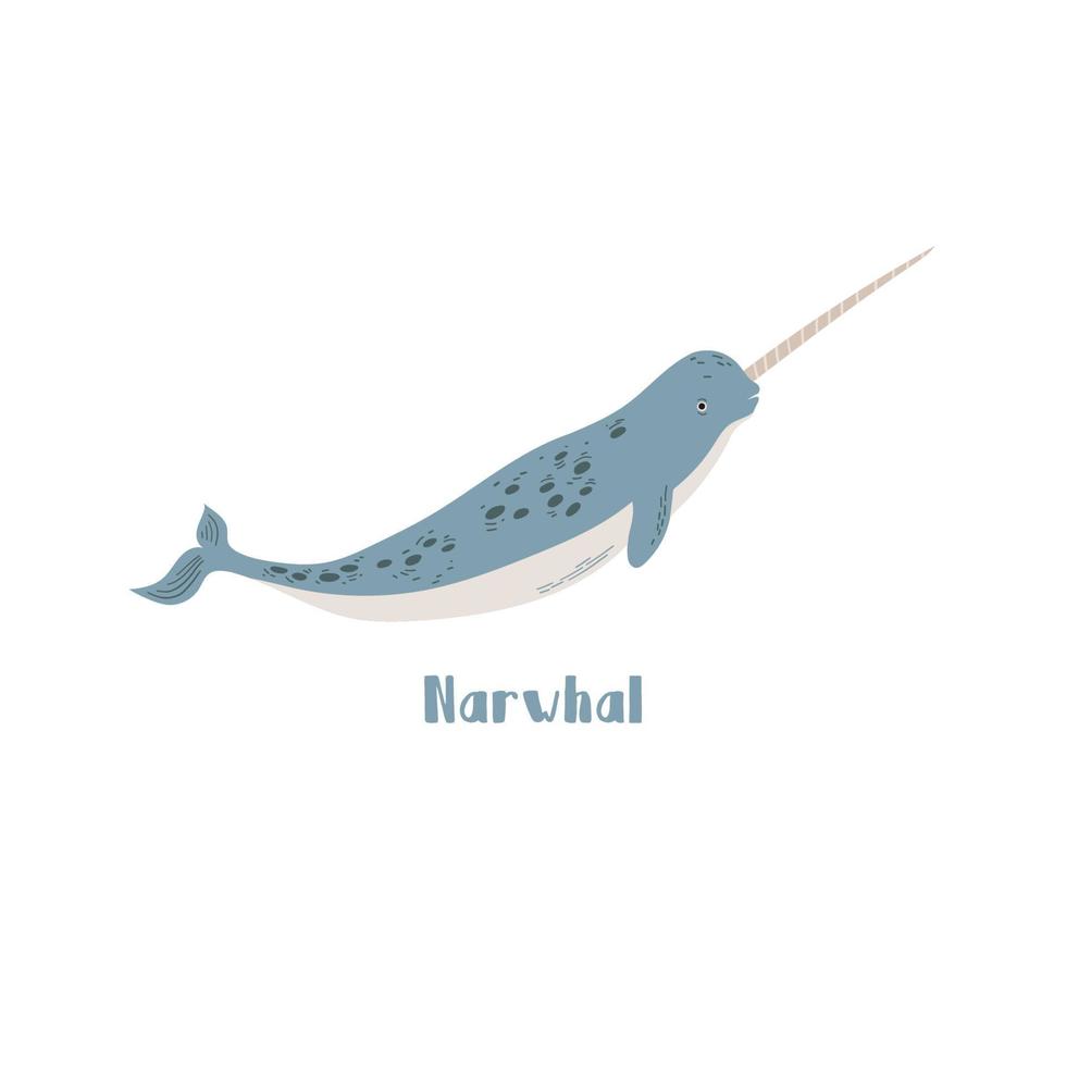 Vector Narwhal whale. Cartoon illustration on white background for sticker, design