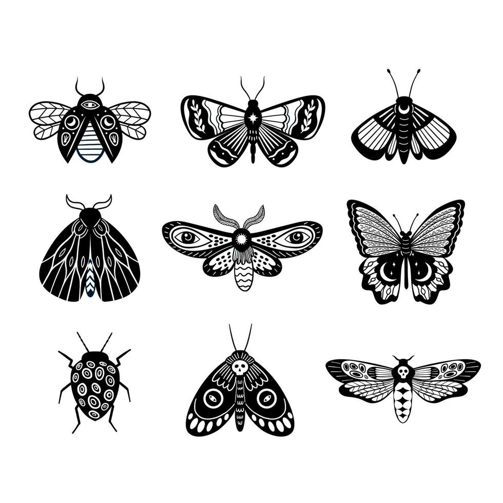 conjunto de mariposas y polillas mágicas modernas en blanco y negro vector