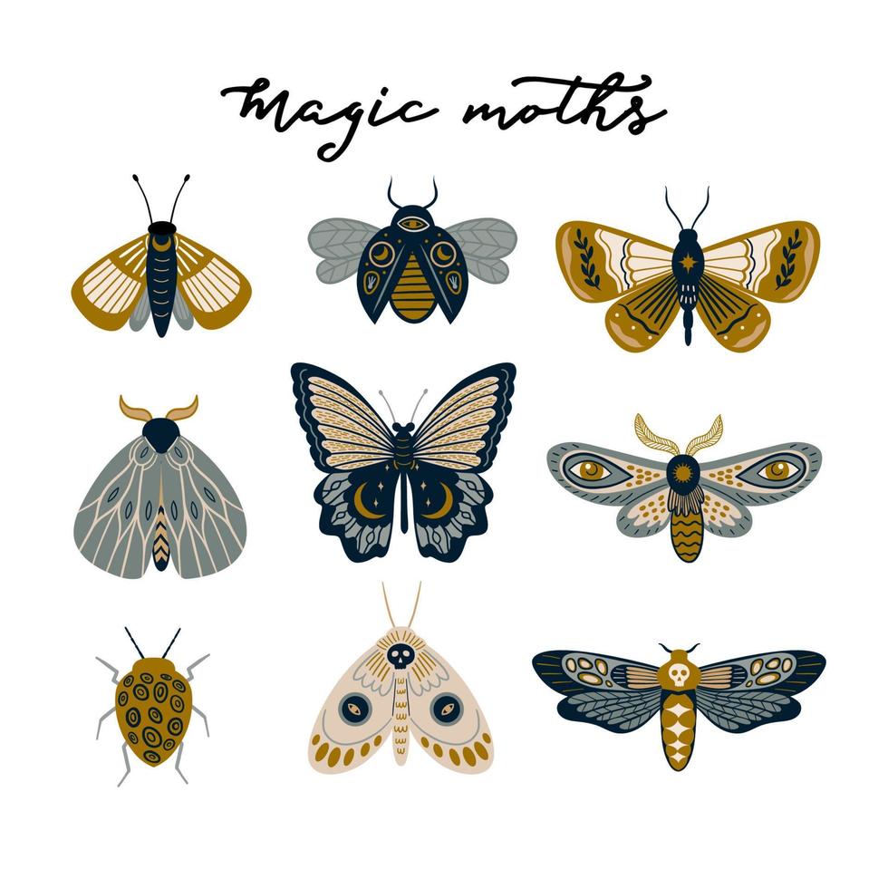 Set of colorful modern magical butterflies and moths. vector