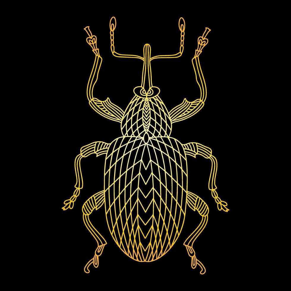 A golden beetle in a linear style. Linear vector illustration