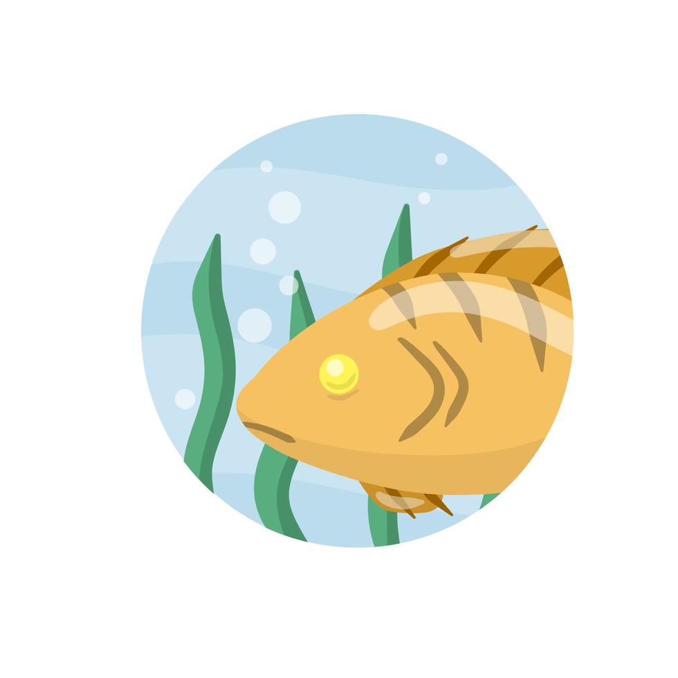 Set of fish. River animal with scales vector