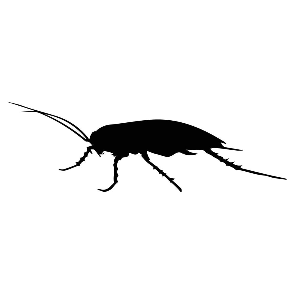 arte de silueta de cucaracha vector