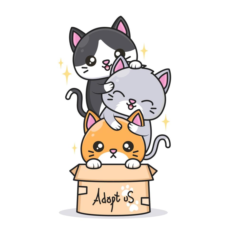 cute cats with different color inside the box vector
