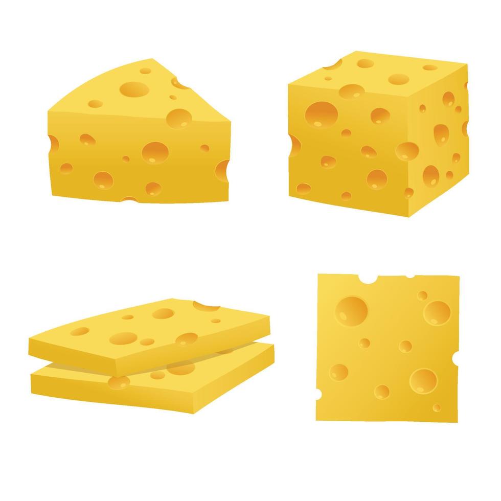 Set of cheese parts and slices isolated on a white background vector