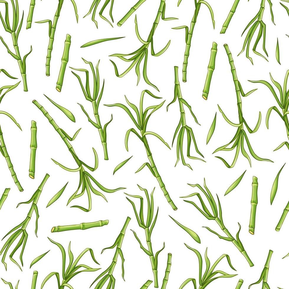 Green sugar cane on a white background seamless pattern. Vector background.