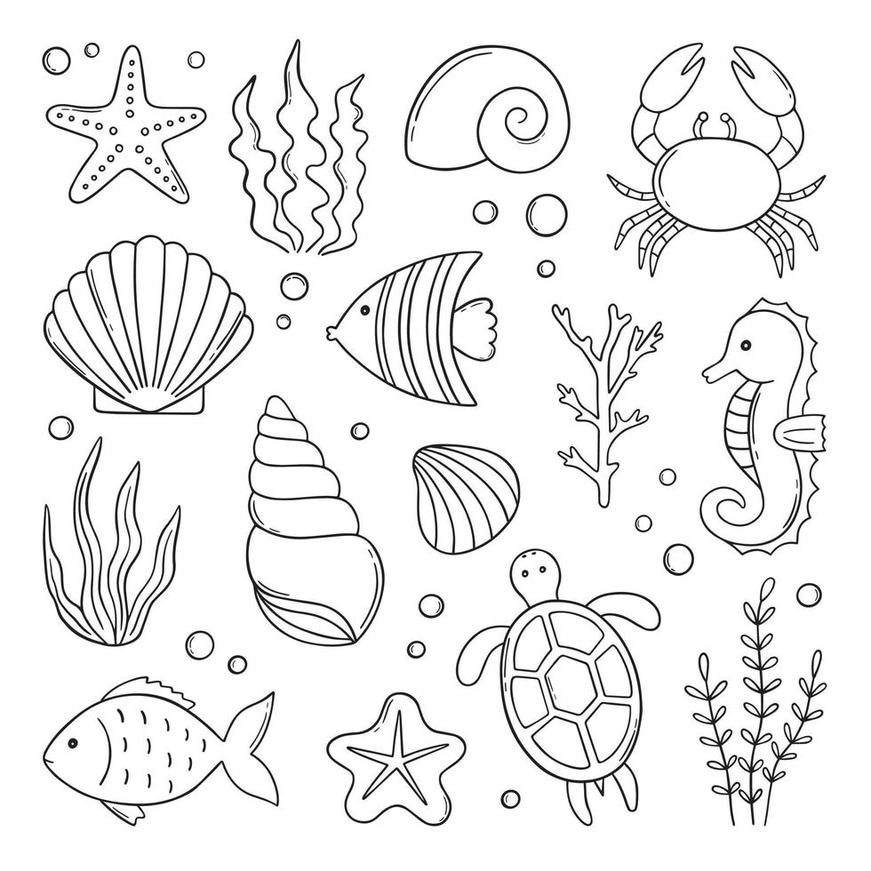 Set of sea life doodle. Underwater elements. Shells, fish, corals and seaweed in sketch style. Hand drawn vector illustration isolated on white background.