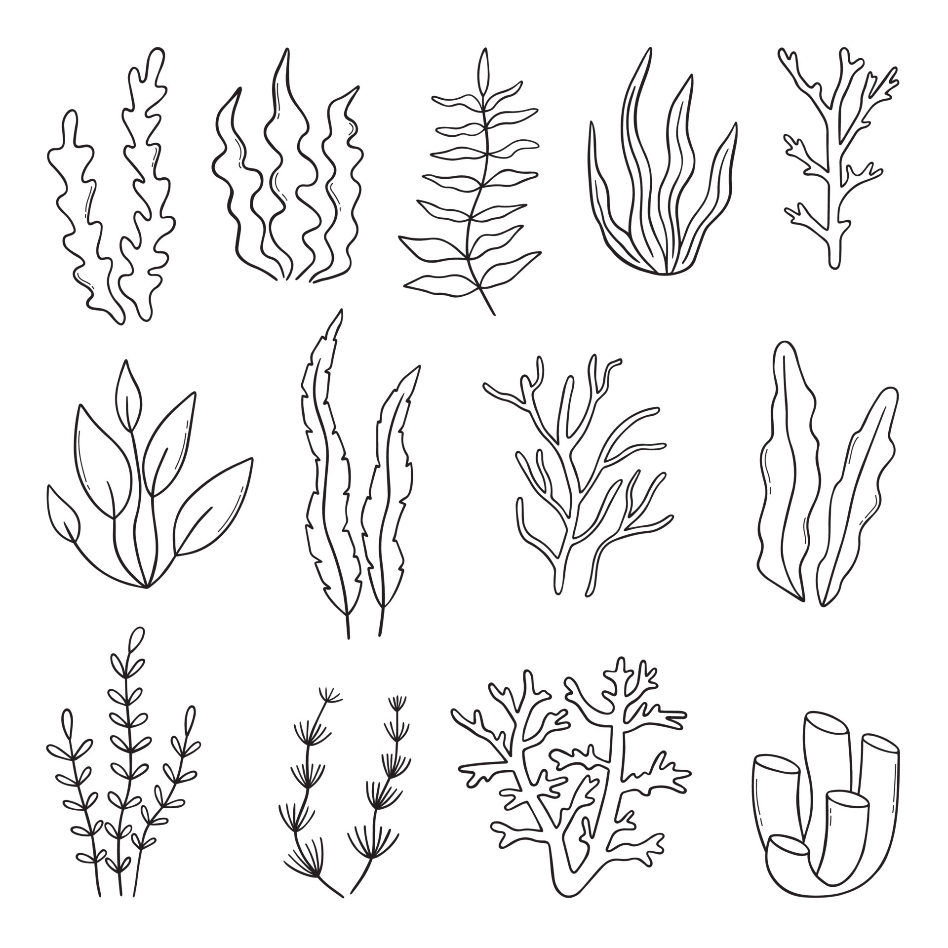 Set of coral, seaweed and reef doodle. Underwater Plants in sketch