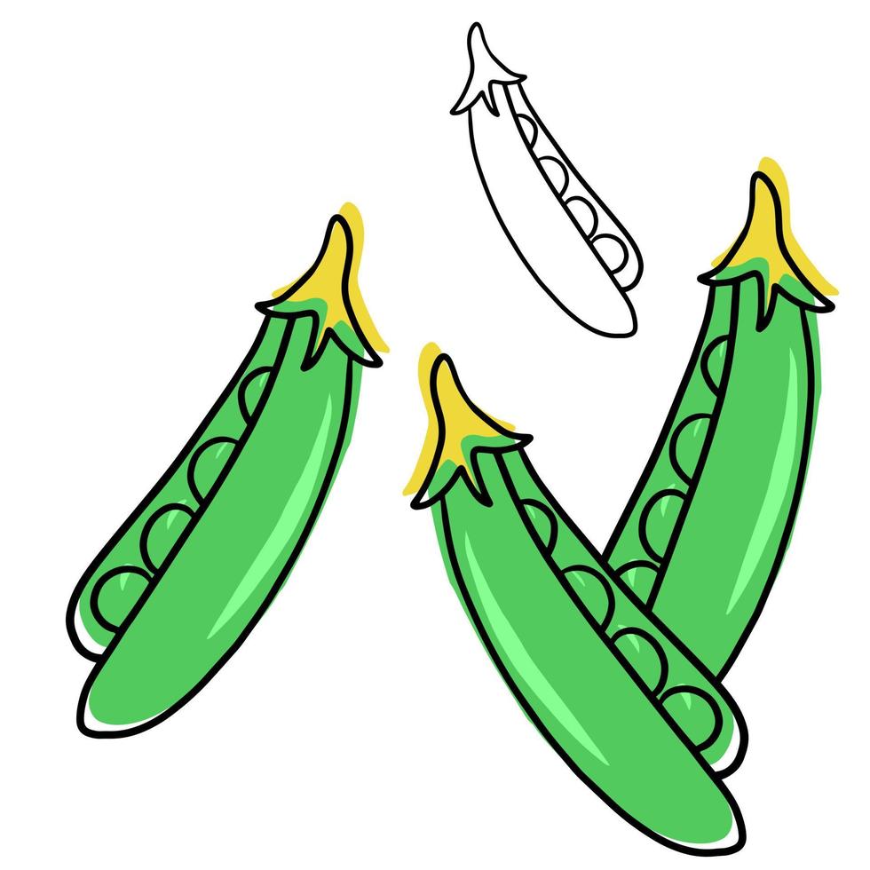 Vector illustration. A set of cartoon botanical drawings, green pea pods on a white background, a packaging design element