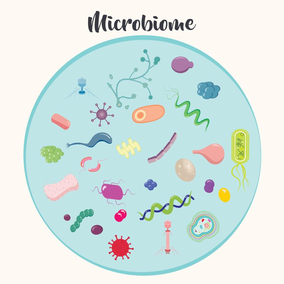 Fondo de ilustración de vector de microbioma