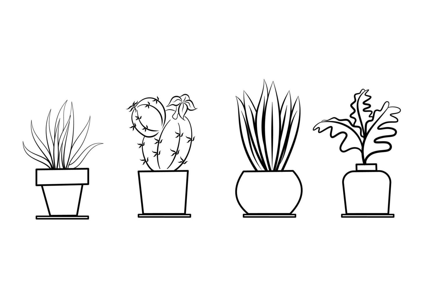 Line drawing plants in pots on long background vector