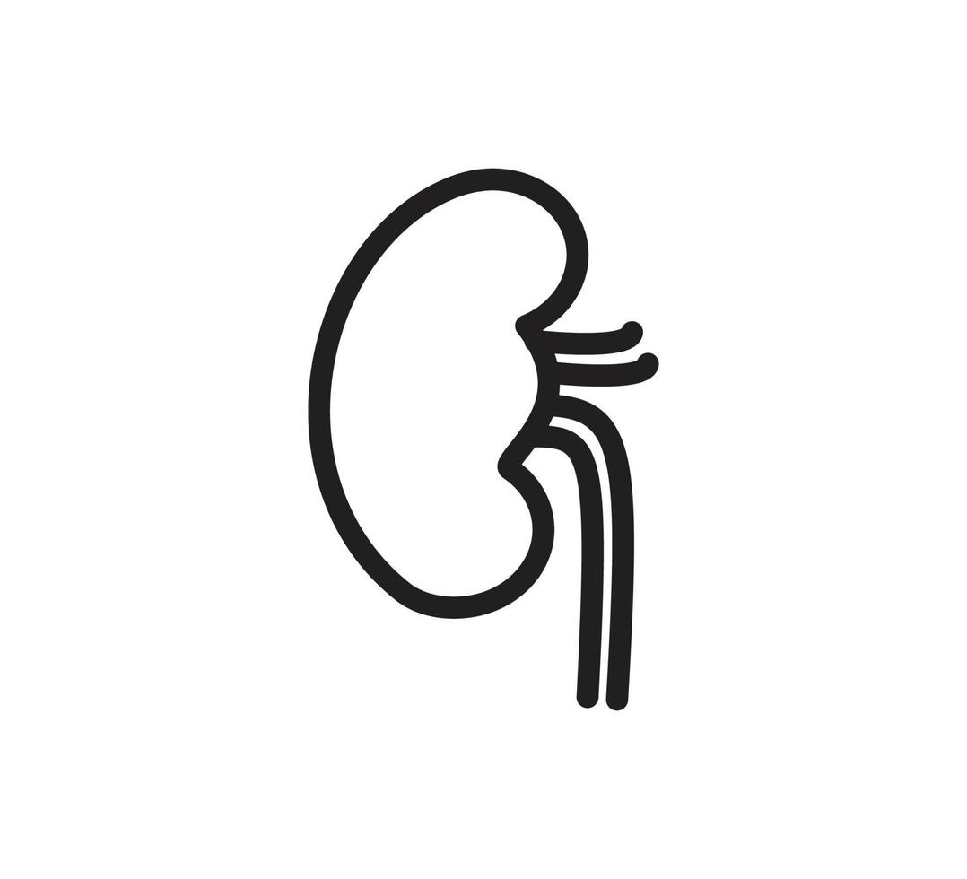 plantilla de diseño de logotipo de vector de icono de riñón
