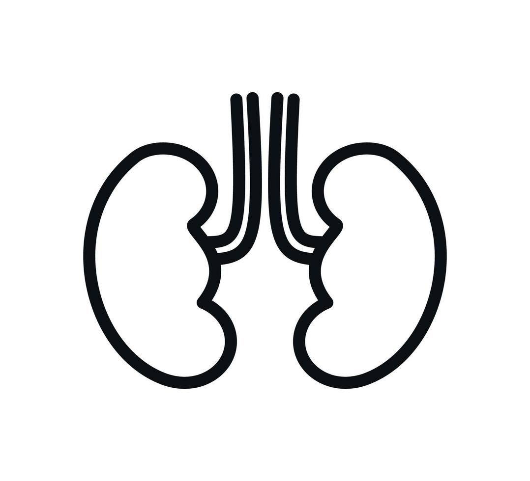 Kidney icon vector logo design template