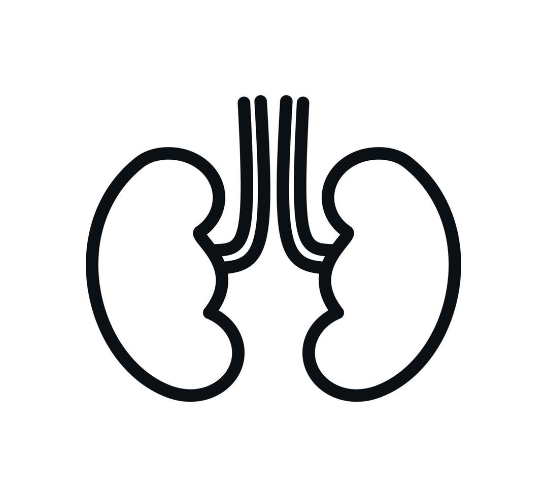 Kidney icon vector logo design template