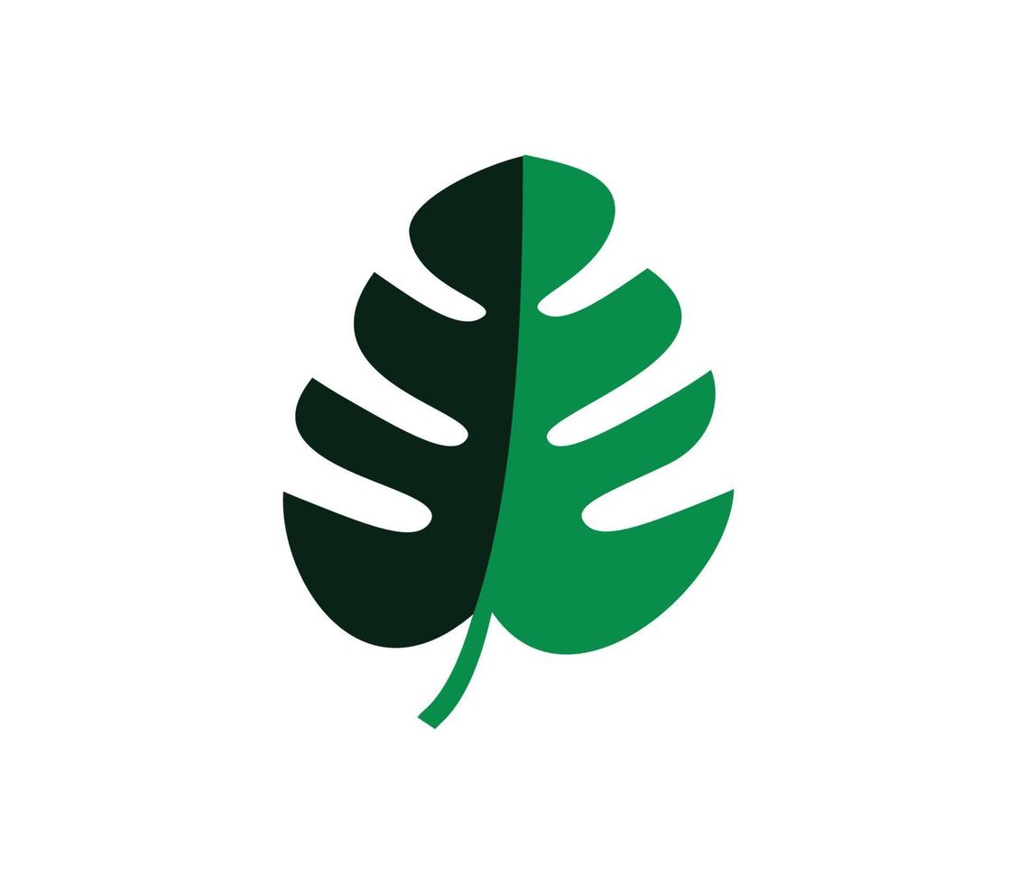 Monstera leaf icon vector flat style