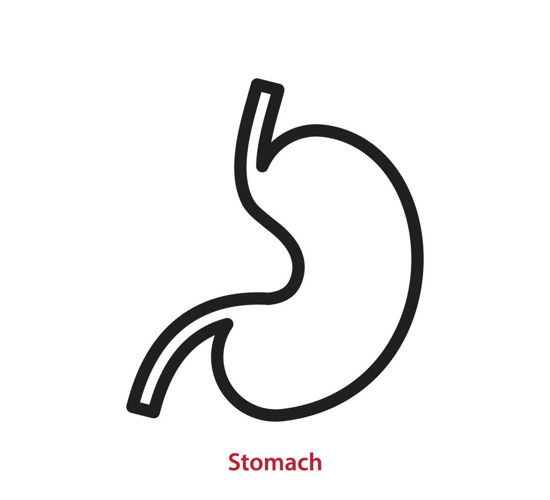 Stomach icon vector logo design template