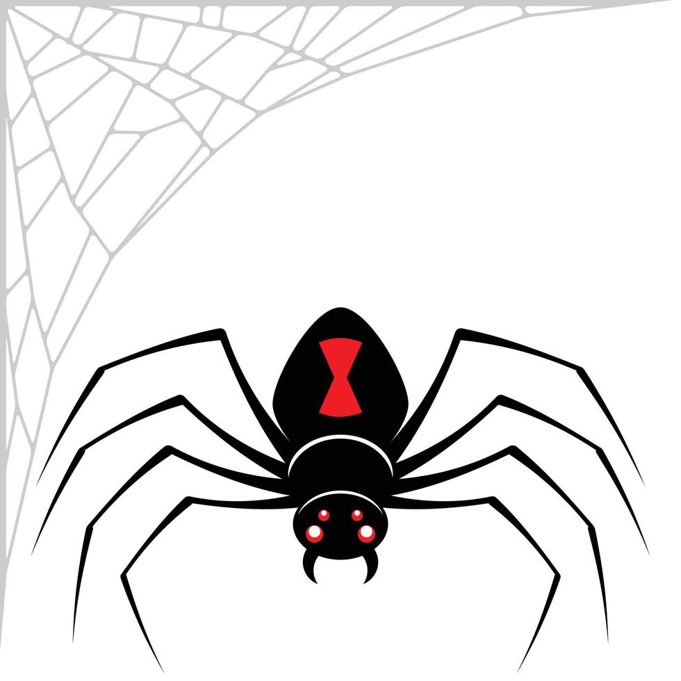 Black widow spider design vector