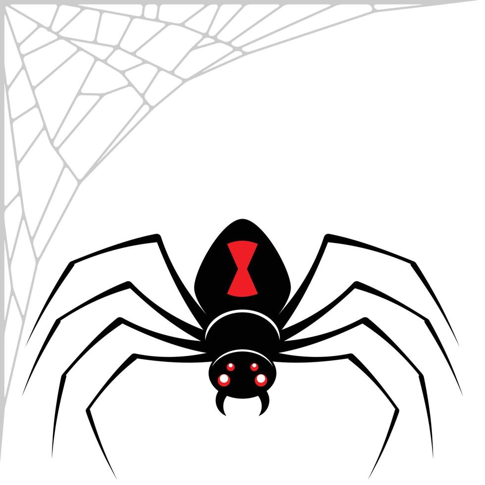 Black widow spider design vector