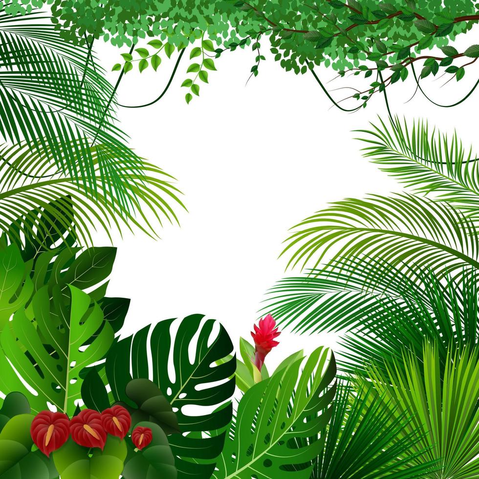 Tropical jungle background vector