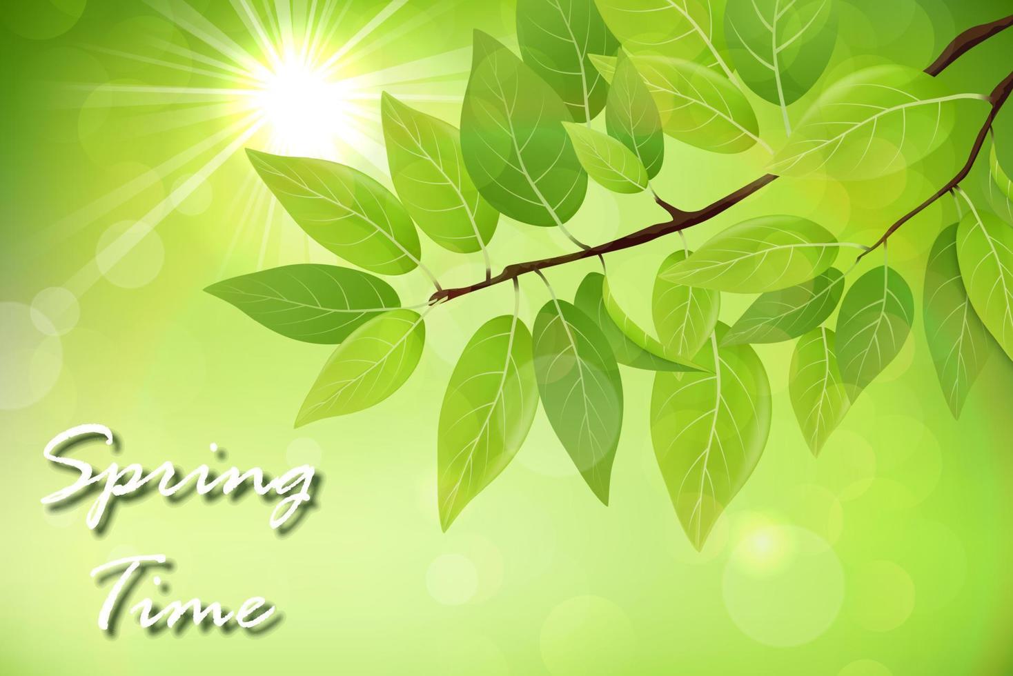 Spring background with fresh green leaves vector