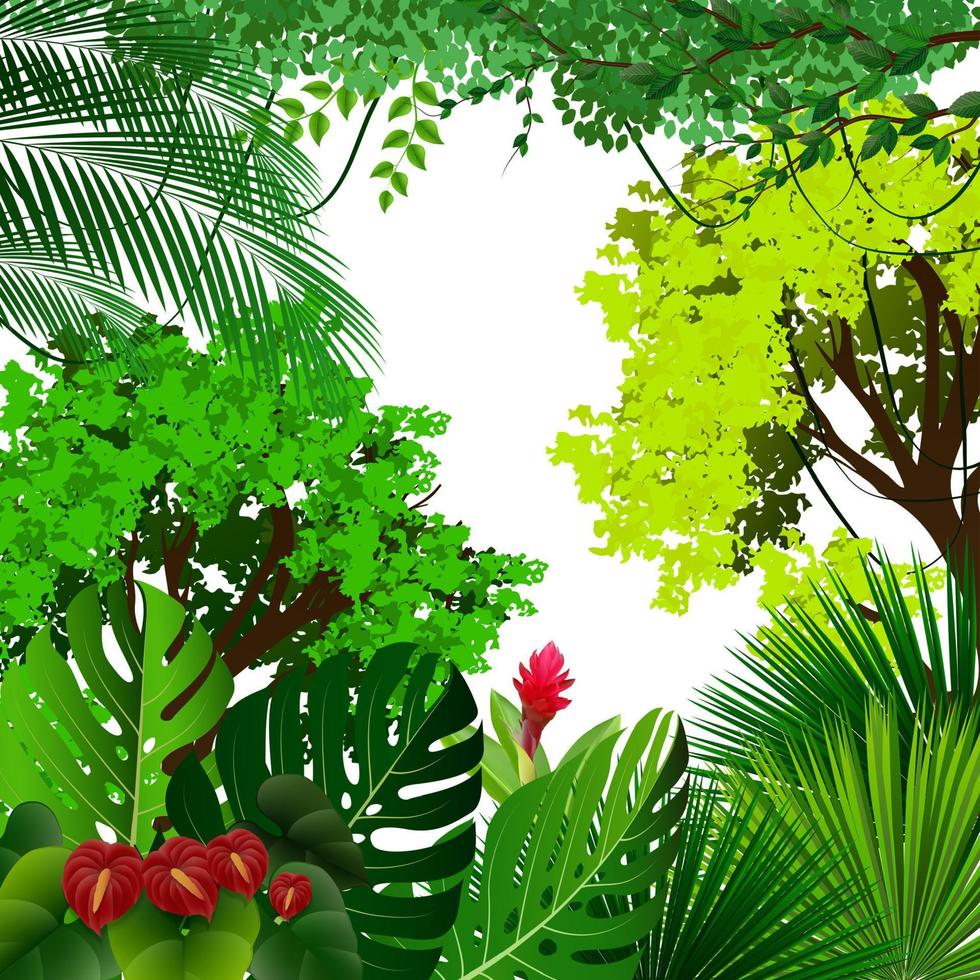 fondo de selva tropical con palmeras y hojas sobre fondo blanco vector