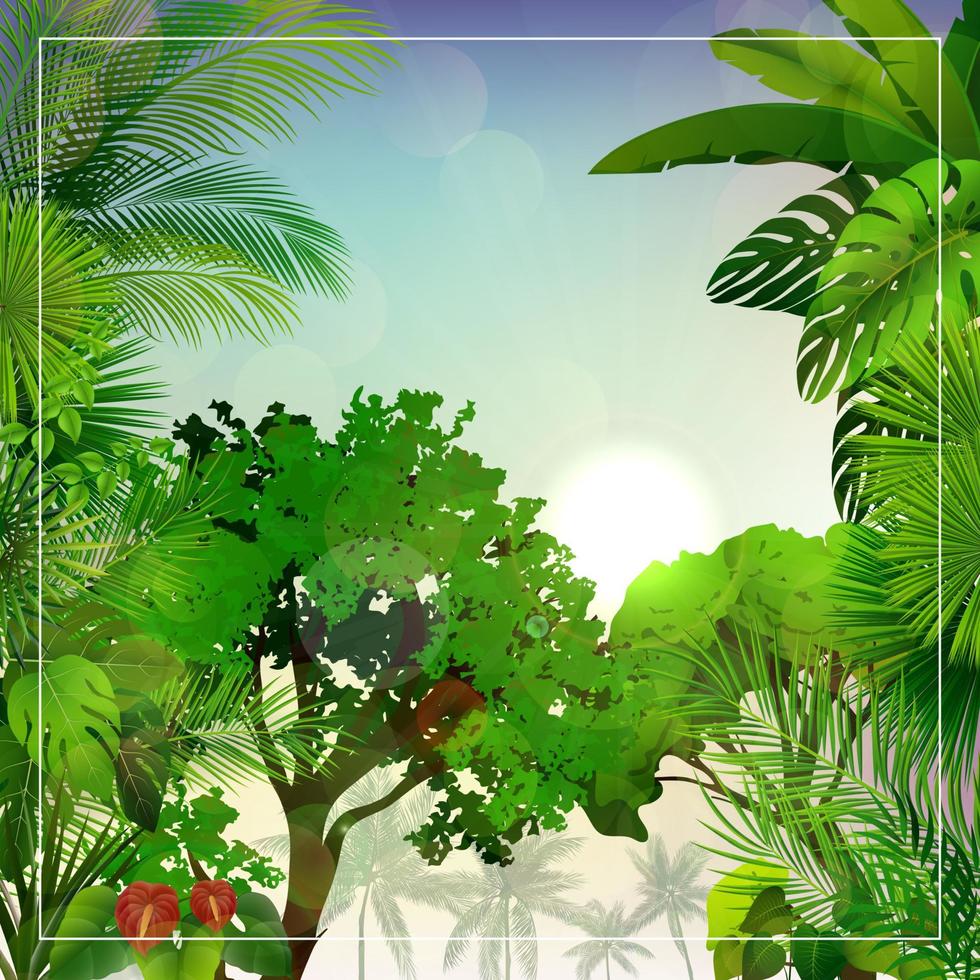 Tropical morning landscape with palm trees and leaves vector