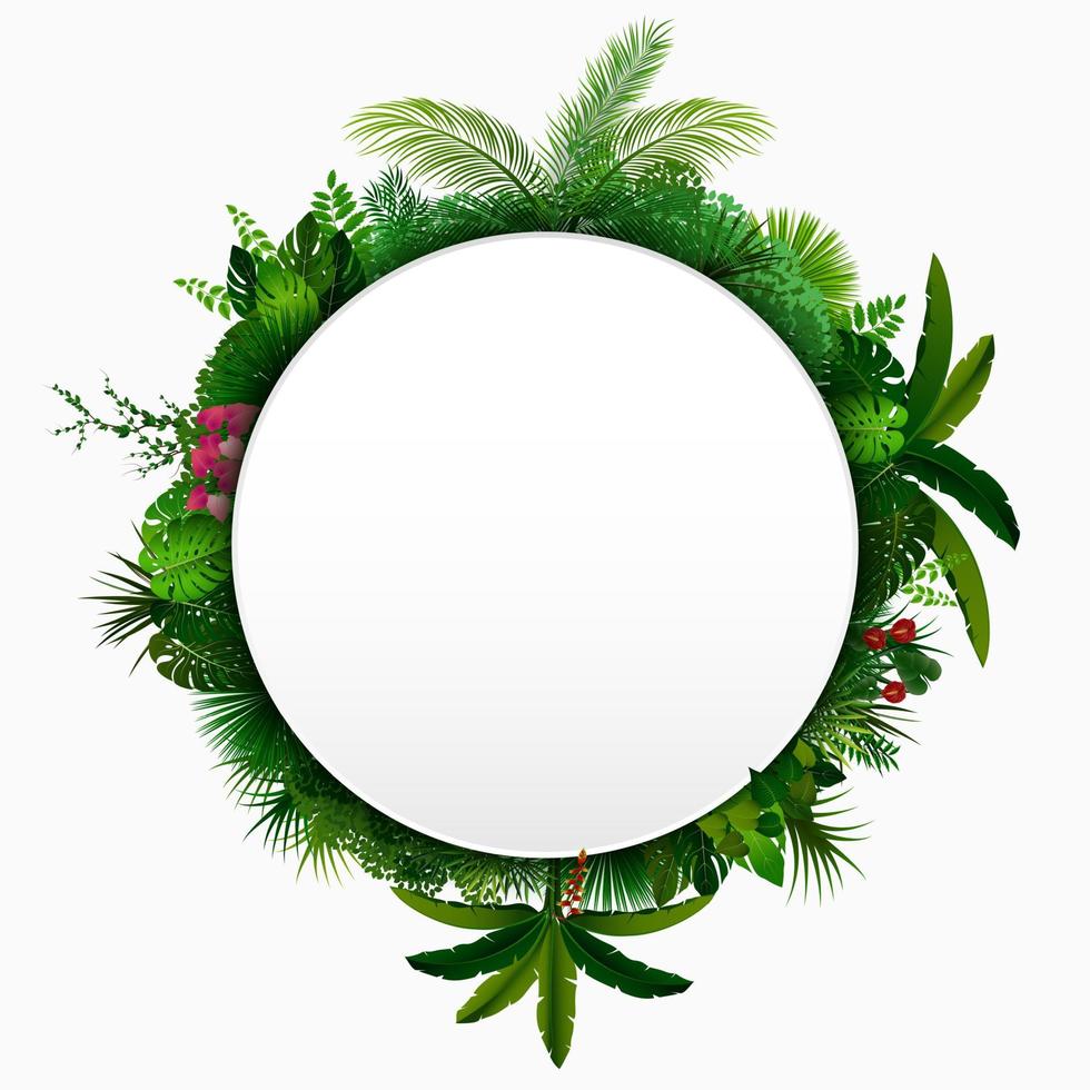 Tropical leaves background. Round tropical banner with space for text. Tropical foliage isolated on white background vector