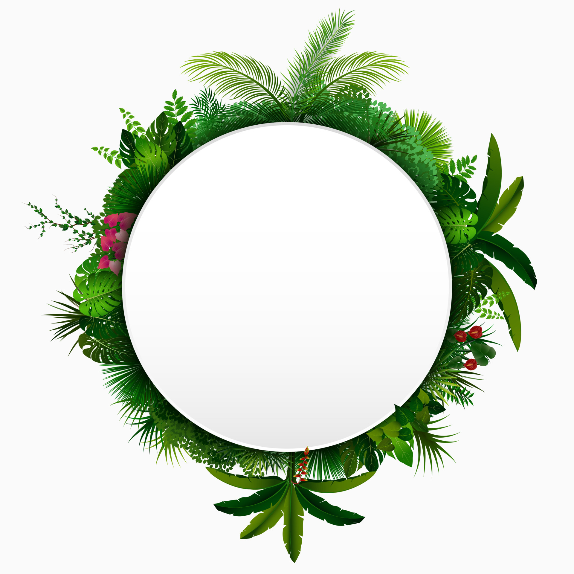 Jungle Circle Vector Art, Icons, and Graphics for Free Download