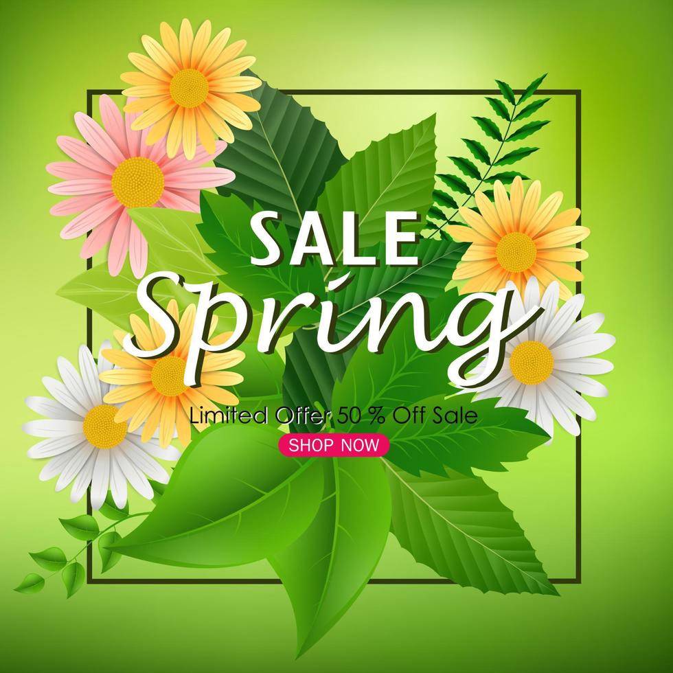 banner de fondo de venta de primavera con hermosas flores de colores y hojas verdes vector