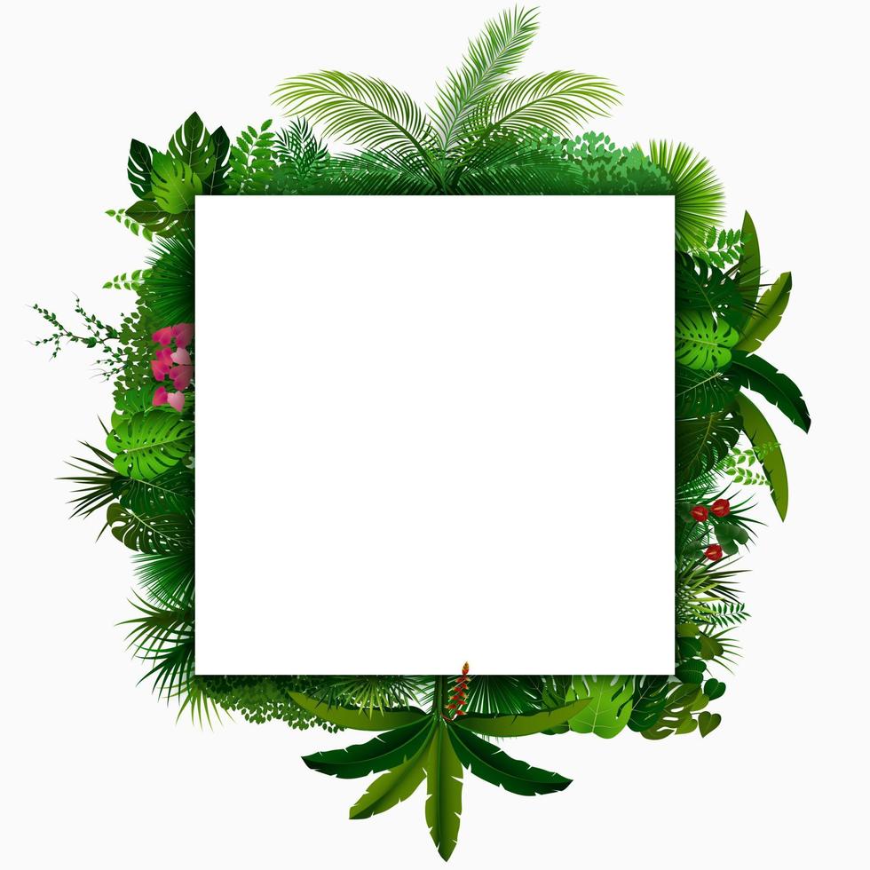 Tropical leaves background. Square tropical frame with space for text. Tropical foliage isolated on white background vector