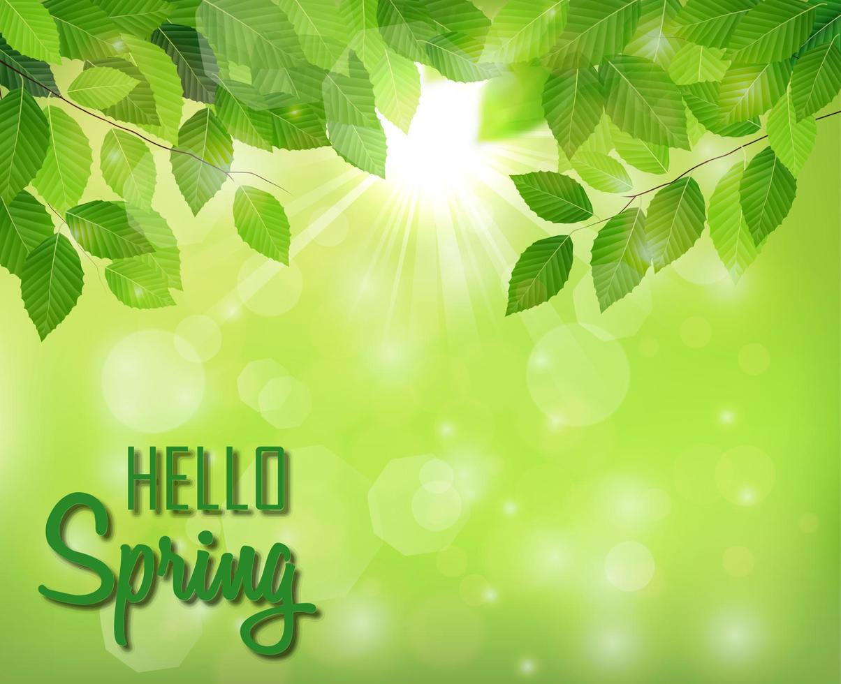 Hello spring background with fresh green leaves vector