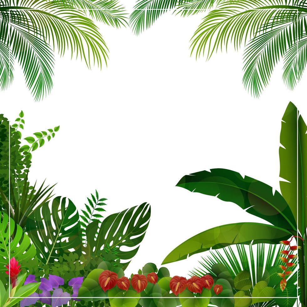 Tropical jungle on white background vector