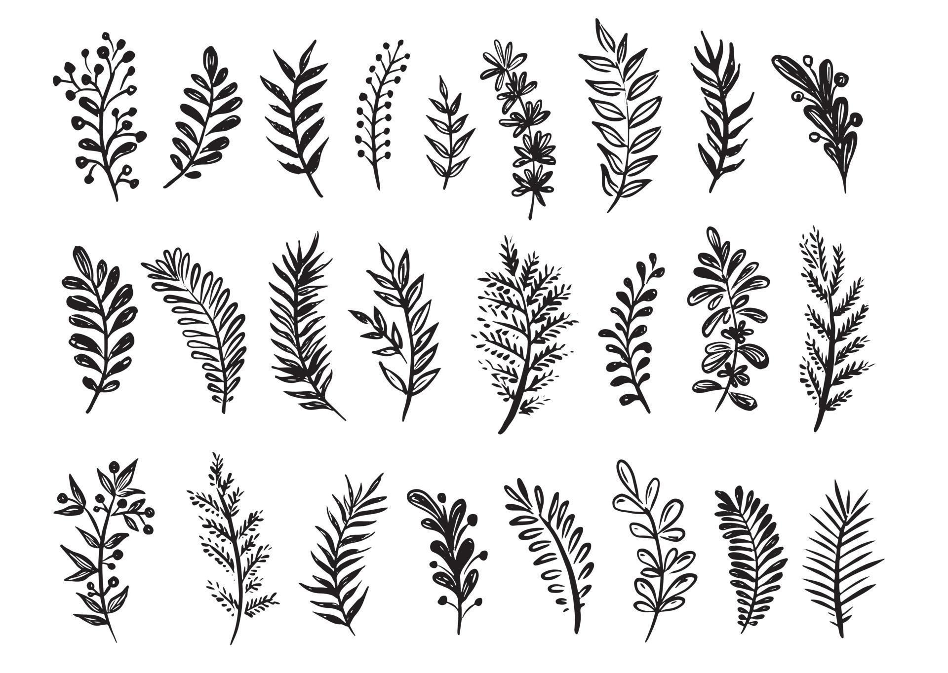 Branches collection hand drawn 7168238 Vector Art at Vecteezy