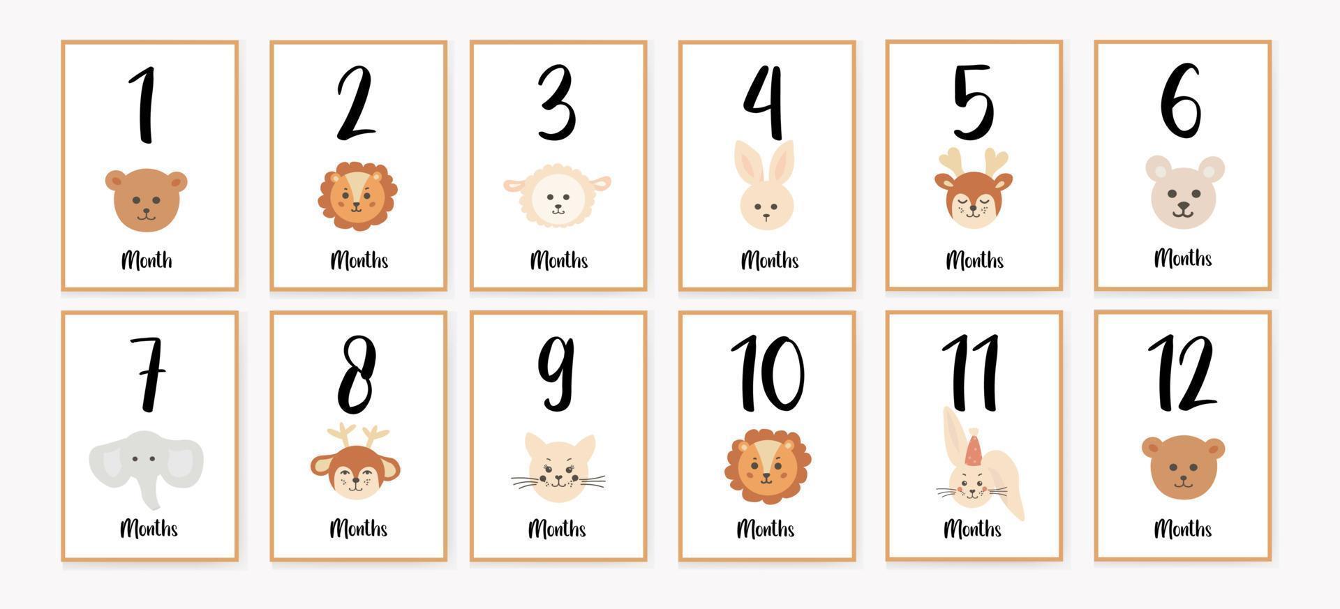 Tarjetas de memoria de 12 piezas meses para bebés (animales o plantilla)