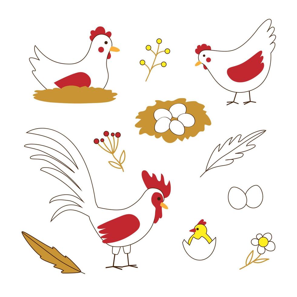 Lindo juego de vectores con pollos y gallos aislados en fondo blanco