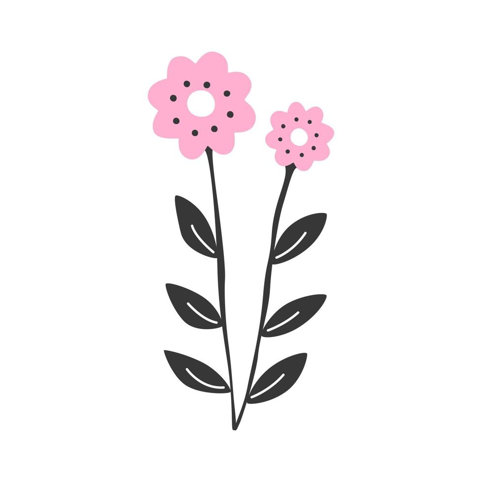 Pink vector isolated flower. Blooming illustration of a spring plant