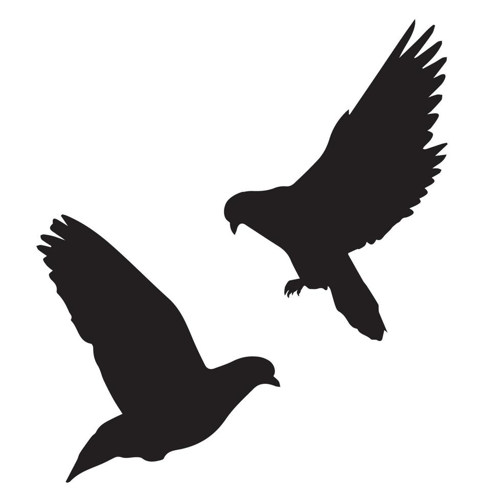 Pigeon Silhouette Art vector