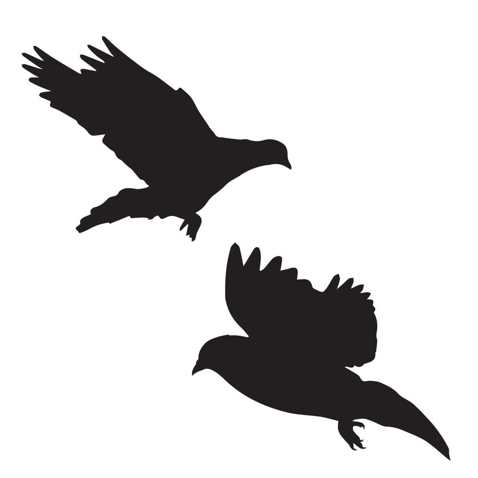 Pigeon Silhouette Art vector
